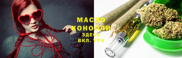 дживик Козельск