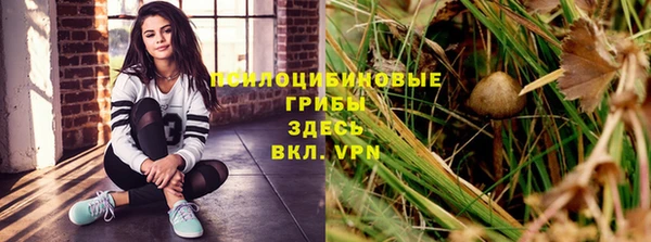 дживик Козельск