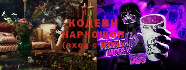 дживик Козельск