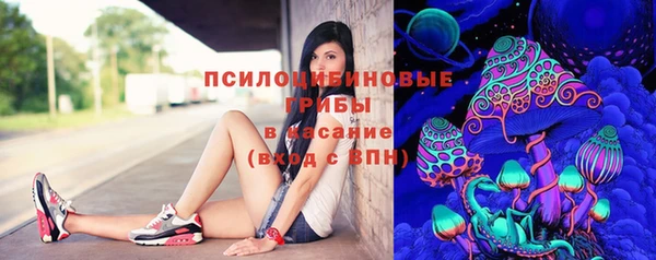 дживик Козельск