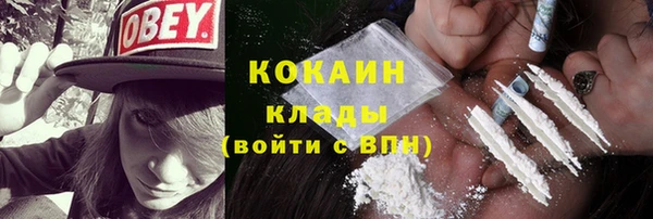 дживик Козельск