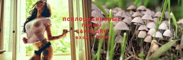 спайс Козловка