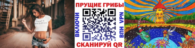 Псилоцибиновые грибы мицелий  где купить наркотик  Пушкино 